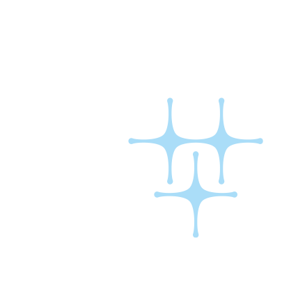 A shield that shines icon