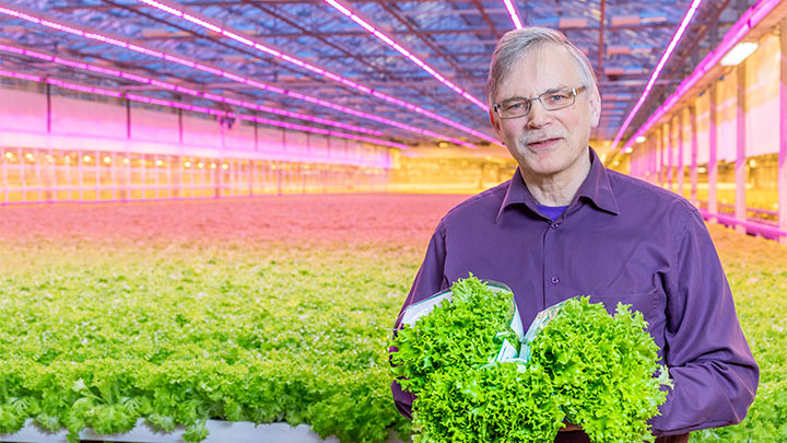 Légumes feuilles