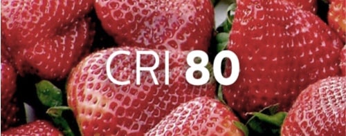 Bol à fraises indiquant la puissance de la couleur sous l'éclairage IRC 80