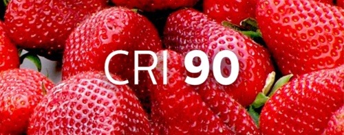 Bol à fraises indiquant la puissance de la couleur sous l'éclairage IRC 90