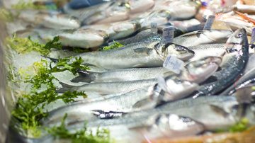 Avantages du poisson