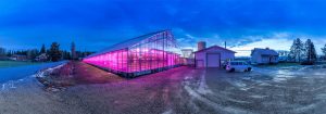 Éclairage LED Philips d’horticulture