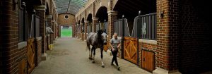 Bourne Hill Stables schafft mit UV-C-Beleuchtung eine sicherere Umgebung
